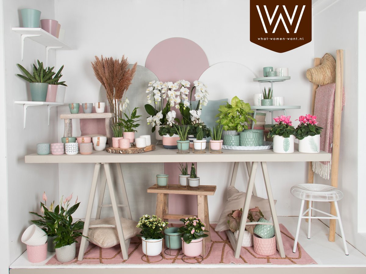 Onze nieuwste collectie heet DREAM SPIRIT!
Gaaf toch?
ow.ly/v9Ma50zDYDm

#website #collectie #dreamspirit #what-women-want