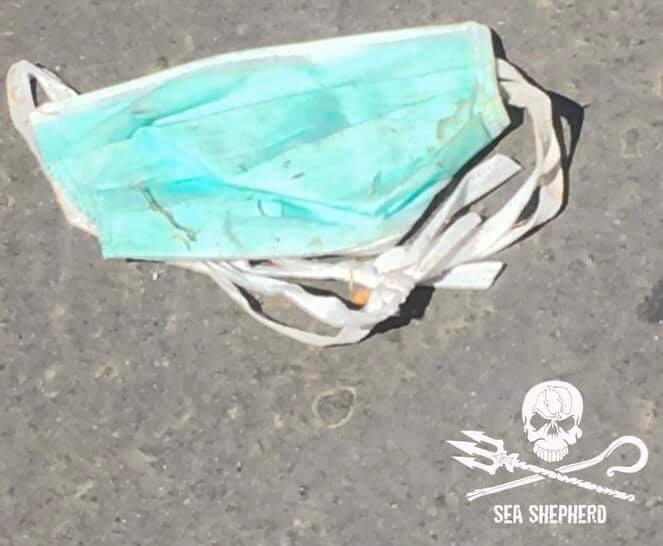 #Covid19 une deuxième vague faite de plastique. Ne laissons pas les fleuves, les rivières, les océans et les animaux sauvages qui y vivent, payer le prix fort une fois de plus. => seashepherd.fr/index.php/actu…