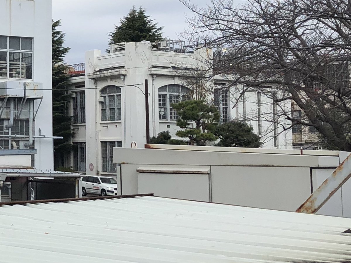 魚交（さめ） tweet media