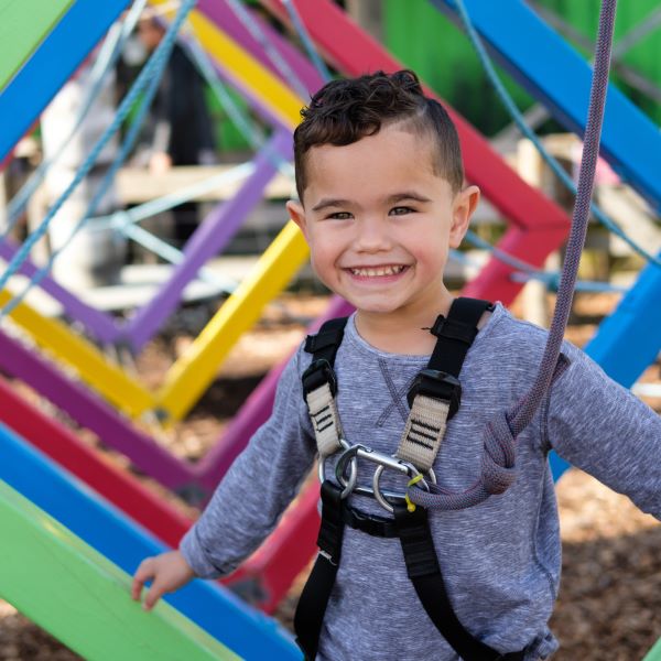 Auckland for Kids tweet media