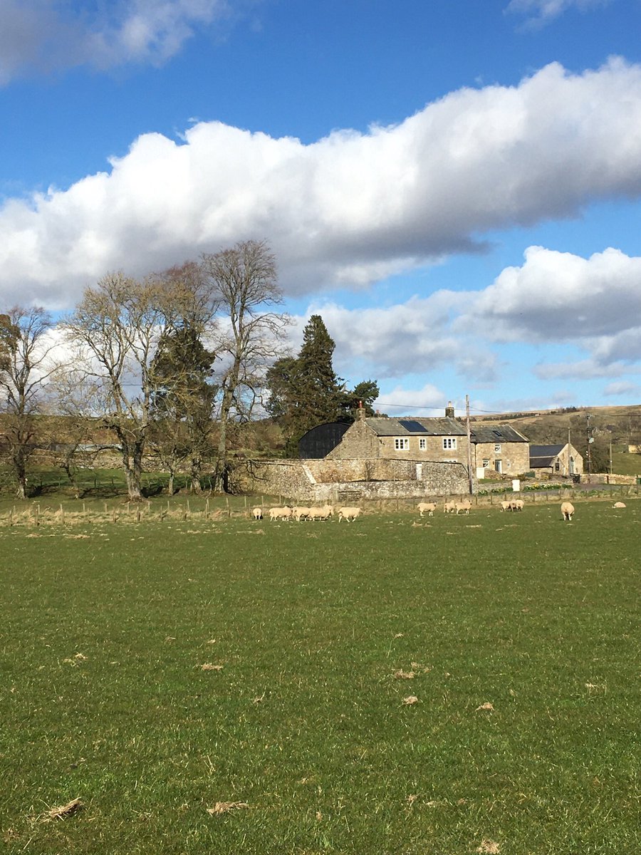 We’ve been closed now since the end of March and it’s looking like July at the earliest before we can accept guests again... so thank you to those who are moving their dates rather than cancelling, we really appreciate it. #LoveSmallBusinesses❤️