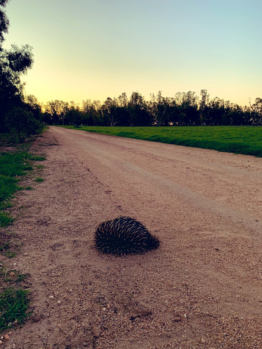 Chloe Burrell tweet media