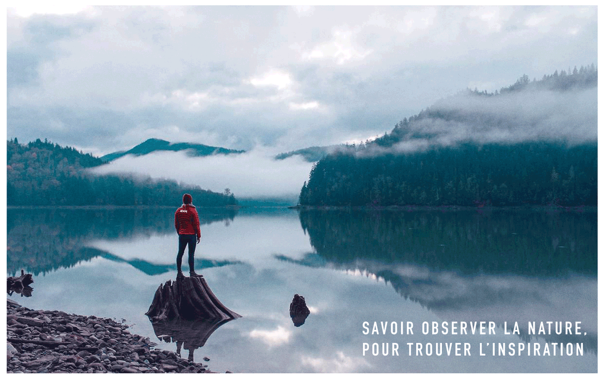 IDIX_Agence's tweet photo. Savoir observer la nature,
Pour trouver l'inspiration
#Créativité https://t.co/TxKedWQ2pu