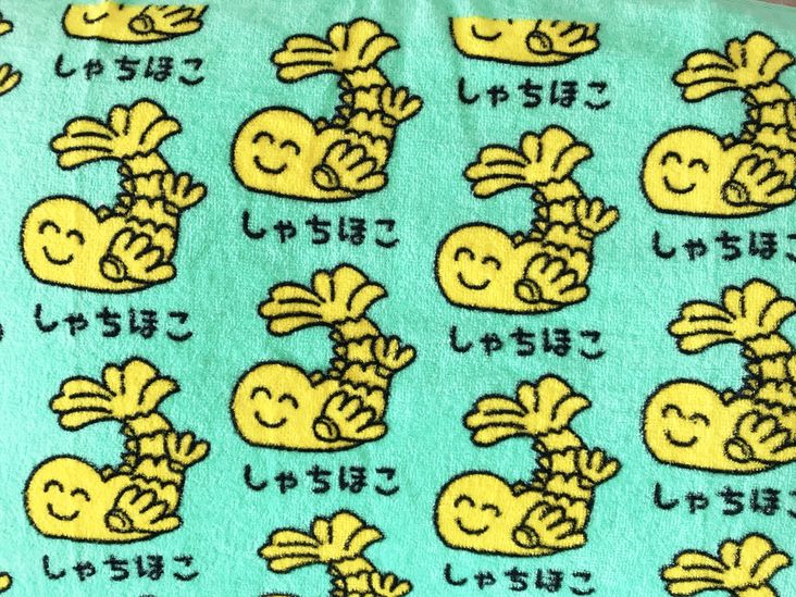 惠 独立国家しゃちほこ 本当にいいところだな こんなゆるくてかわいいものが売ってるのか 可愛くてむせてしまった 今日から枕カバーにするから名古屋の夢が見られるはずだ 惠 独立国家しゃちほこ 本当にいいところだな こんなゆるくてかわいいものが売ってるのか 可愛くてむせてしまった 今日から枕カバーにするから名古屋の夢が見られるはずだ