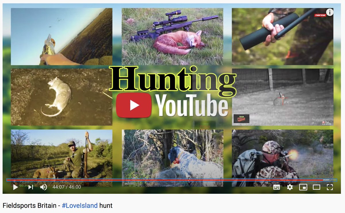 fieldsportstv's tweet photo. Here are the best #hunting videos from @YouTube this week: @djdecoys
@normaammo #RobinFoxer @meateatertv Watch now: https://t.co/yzaoDUS88F https://t.co/Z2dZN4CZEK