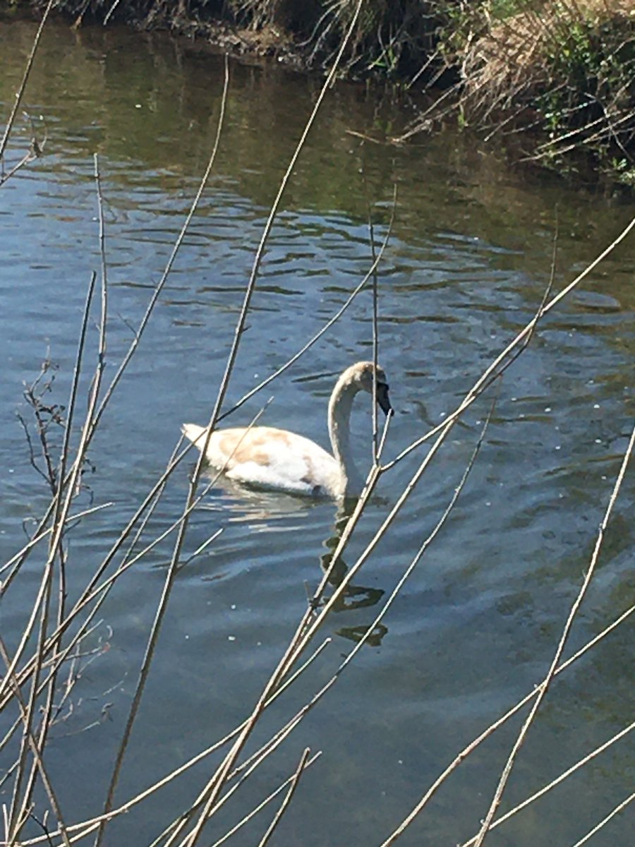 Ash Tree Barns Norfolk tweet media
