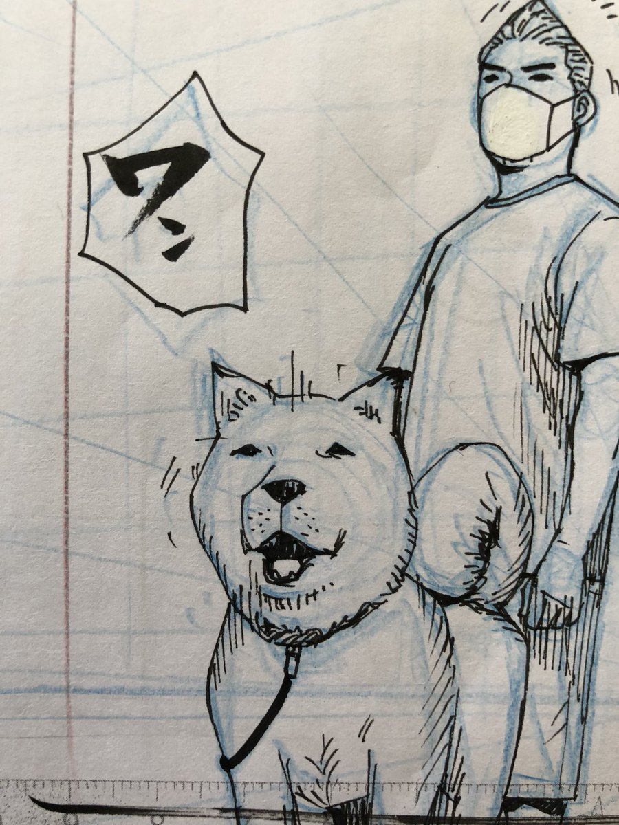 犬 