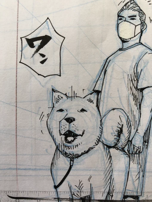 犬 