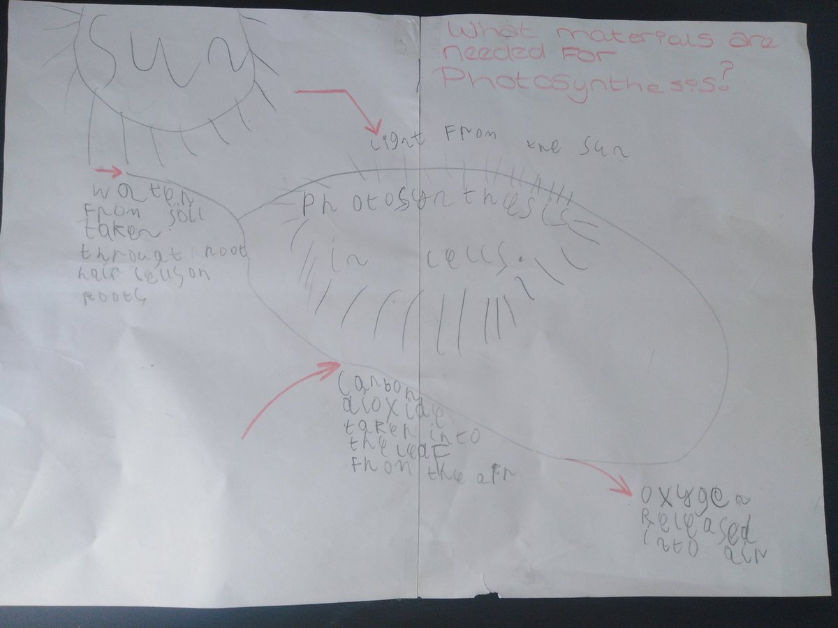 Amazing poster from Robert all about Photosynthesis! Also a very smart new haircut. #Science #Motivated #homelearning