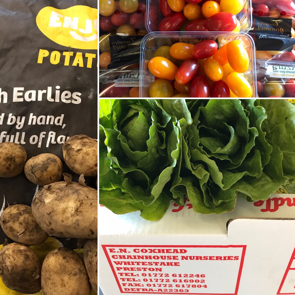 Some lovely new produce this morning. Early Cornish tatties English Romaine and mixed cherry toms.