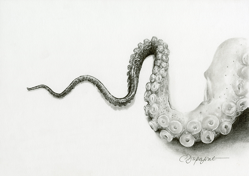 La mer vous manque ?
Faites-la venir à vous pour vous évader...
Ces oeuvres sont disponibles à la vente. corinnedupeyrat.com