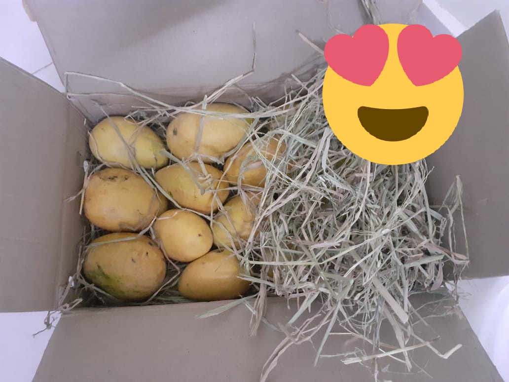 gousiya75's tweet photo. Got the yummy seasonal fruit #mangoes many thanks to @TelanganaCMO @trspartyonline @KTRTRS @Tfresh for providing naturally ripened fruits🤩 #Tfresh https://t.co/tAd4UZr6Pw