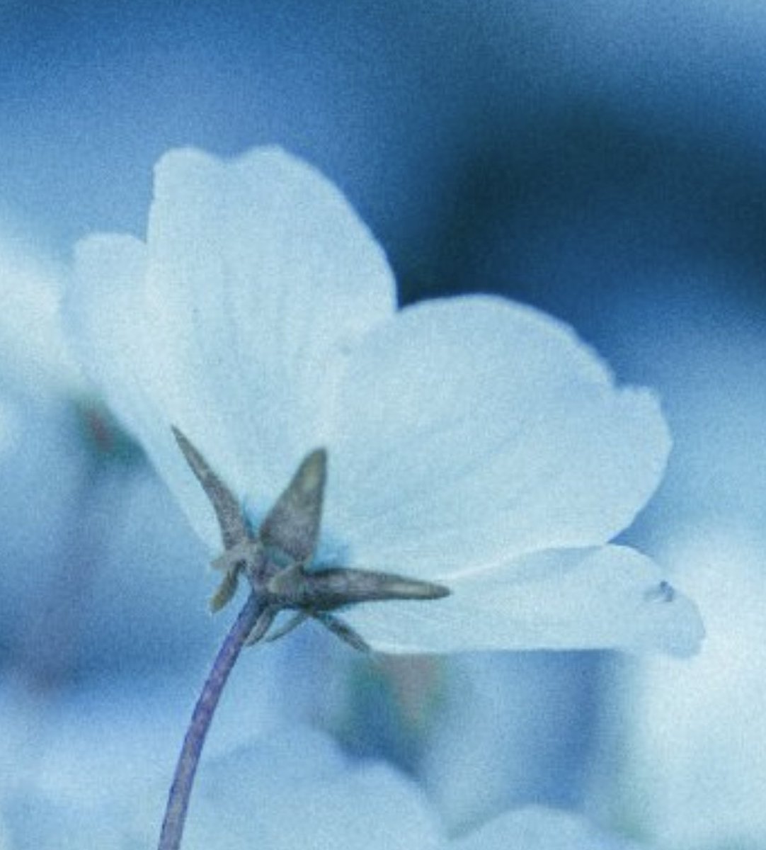 study___asakura's tweet image. モチベーションがなかなか上がらないので、アカウントを作りました！

【年齢】17歳・高3
【目標】看護系・私立大学
【好きな教科】理系・数学、化学、生物
【好きなこと・もの】絵を描くこと・アニメ

気軽にどうぞ！
#勉強垢さんと一緒に頑張りたい 
 #勉強垢さんでいいねした人全員フォロー