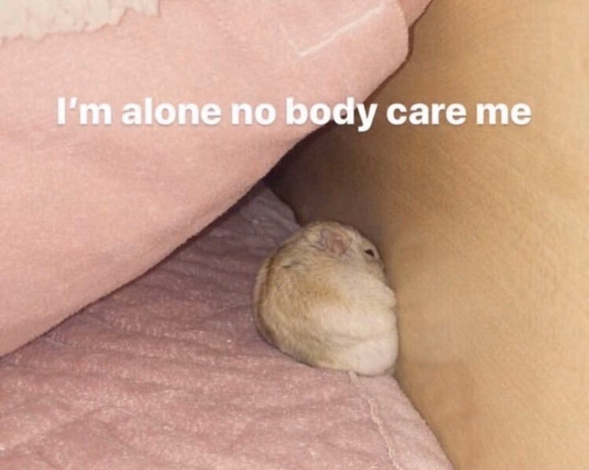 健音テイ (@vipparoido) on Twitter photo 