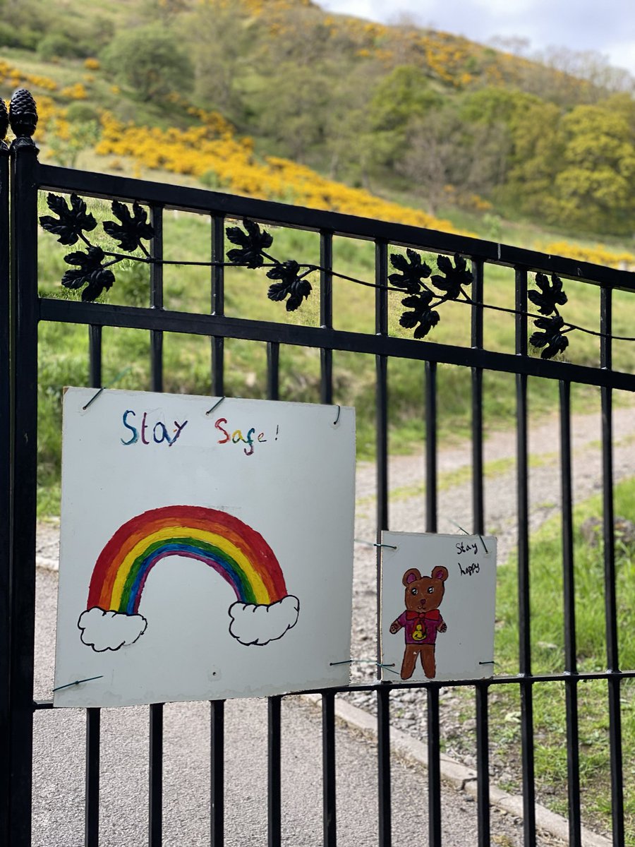 Out on bike and saw this. What more can you say?  Loving the stay happy bear picture #StaySafe