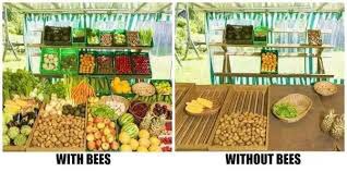 SunnysidePri's tweet photo. Having some fruit with your breakfast today? Bee π Thankful! Hereβs one of our P4 Re-Wilders showing us just some of the fruit and veg we need to thank pollinators for! πππ₯π
https://t.co/LZ9McOOMAR
