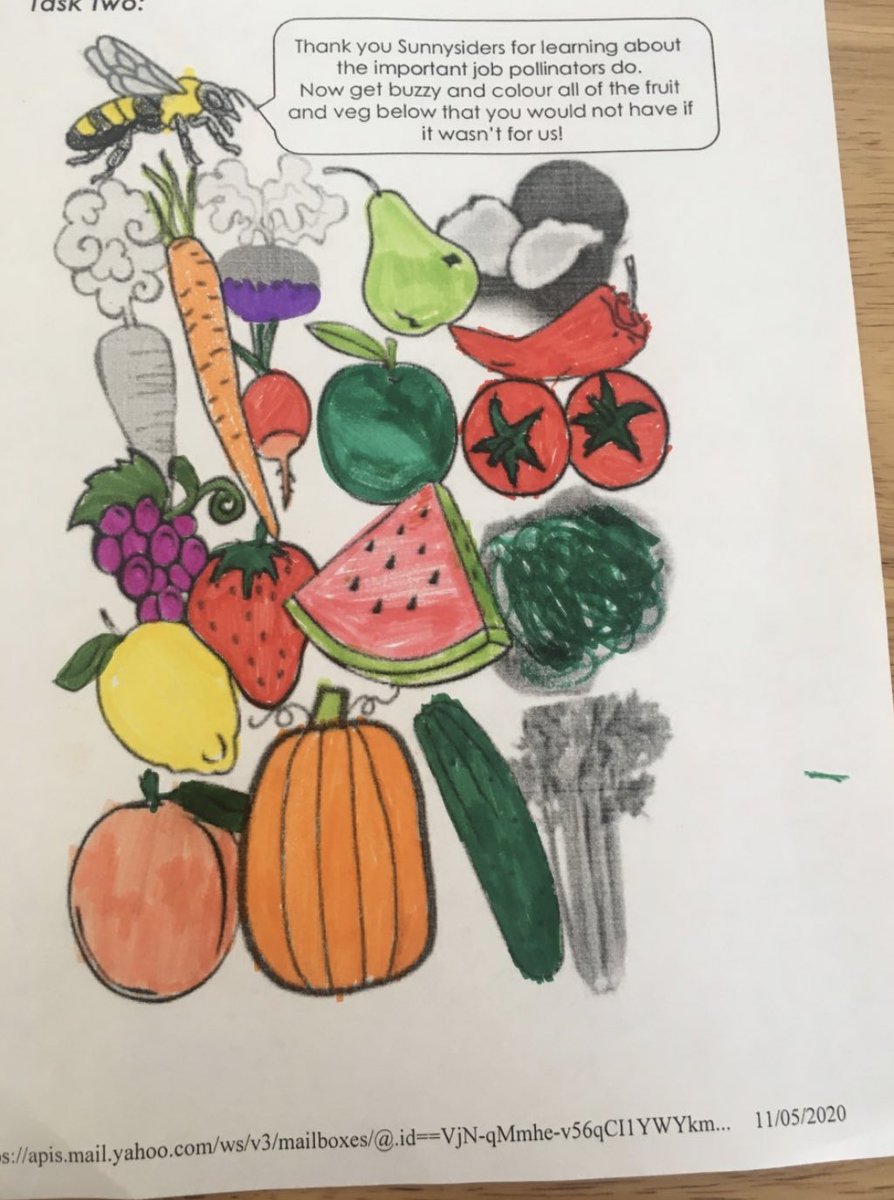 SunnysidePri's tweet photo. Having some fruit with your breakfast today? Bee π Thankful! Hereβs one of our P4 Re-Wilders showing us just some of the fruit and veg we need to thank pollinators for! πππ₯π
https://t.co/LZ9McOOMAR