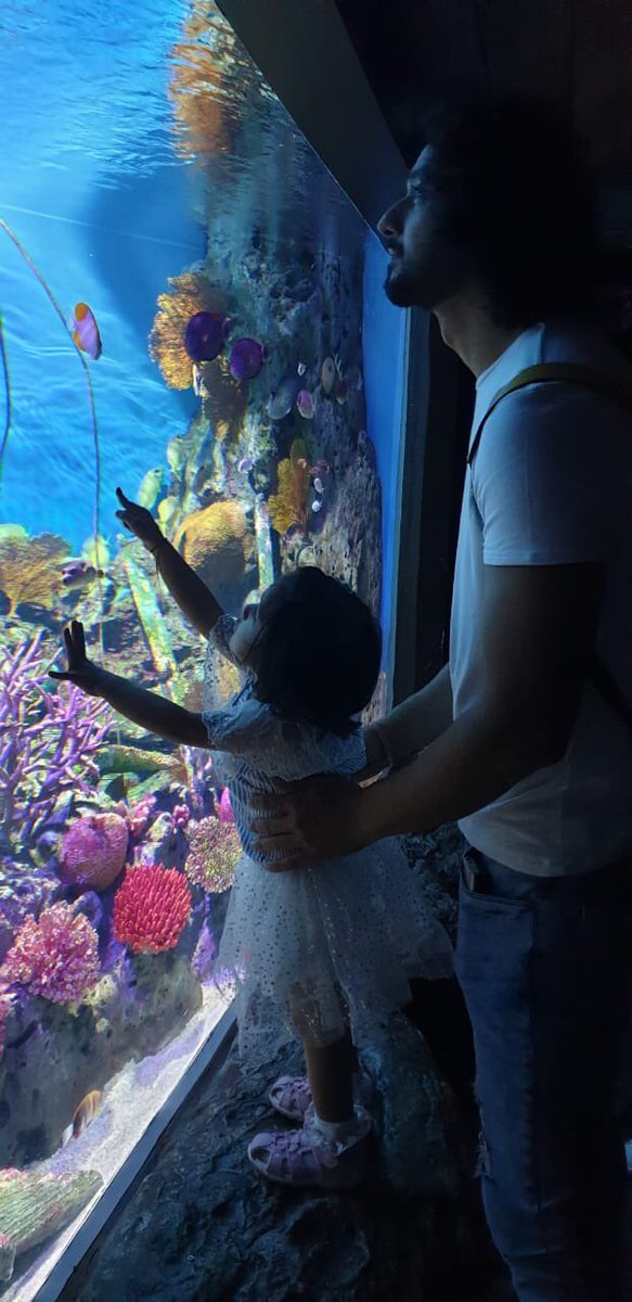 instagram.com/p/CAKOibsJOYD/…