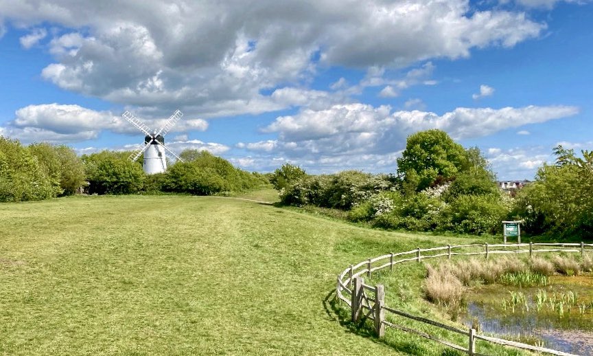 Mark Schofield tweet media