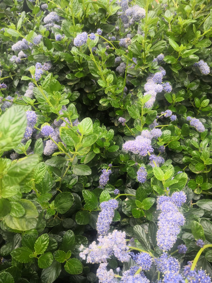 Spring is so beautiful.