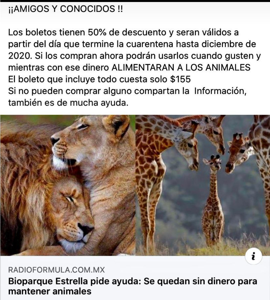 yaz_animalista's tweet photo. #Ayuda #RTxfa compra boletos y así ayudas a la manutención de los #Animales ➡ https://t.co/ZRMKiMzi5v @duky1107 @Lacasadelsalchi @rumabo1 @DaliaMRocha @Froggieland @gllgina1_ll @Hera_Sea @JohannaLizalde @LETICIA777 @Maril86053076 @Uriel66689314 @raquelgarzac https://t.co/qKtK1rqQqf