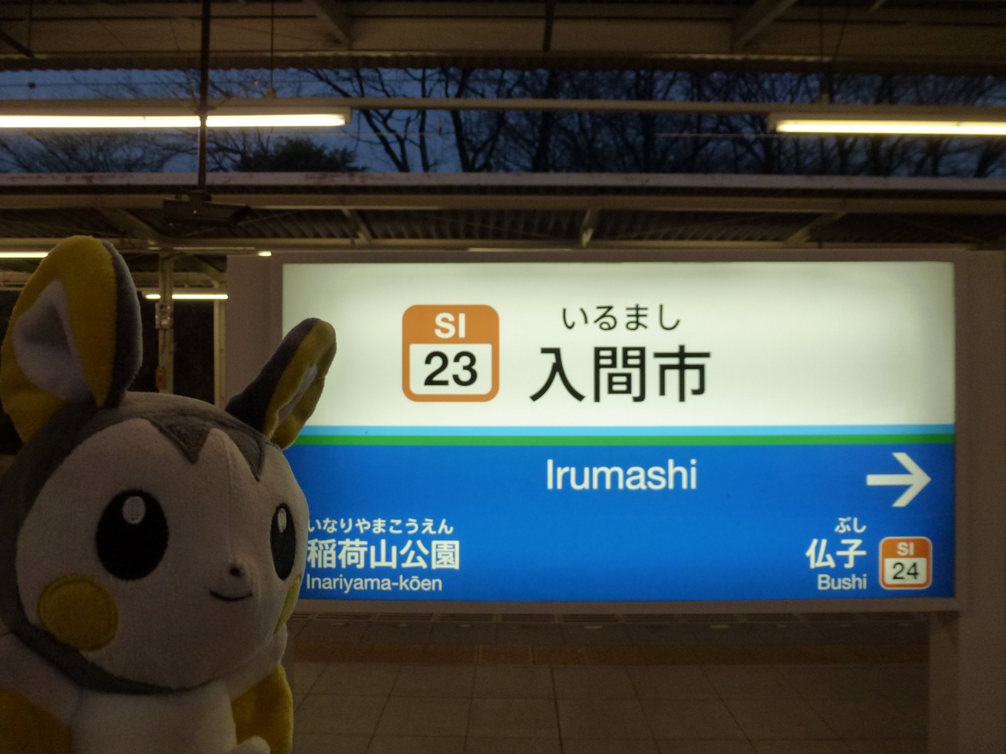 ラティオス ポケモンストア アウトレット入間