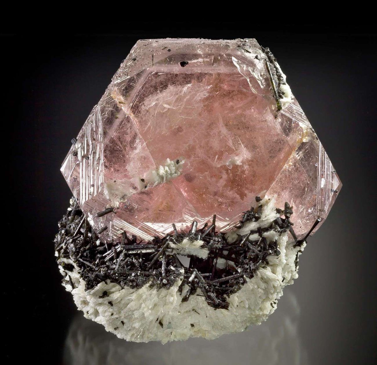 RopphireMineral's tweet photo. Morganite
AFFIRMATION
I am surrounded by angelic energy and divine love
CHAKRA
Heart Chakra
PHYSICAL
Abdominal Problems, Asthma, Dying Process and Transitioning, Emphysema, Heart, Impotence, Lungs, Muscular/Skeletal, Sexual Abuse, Throat
#morganite #angelcommunication #godhead https://t.co/x9Qi5yH27c