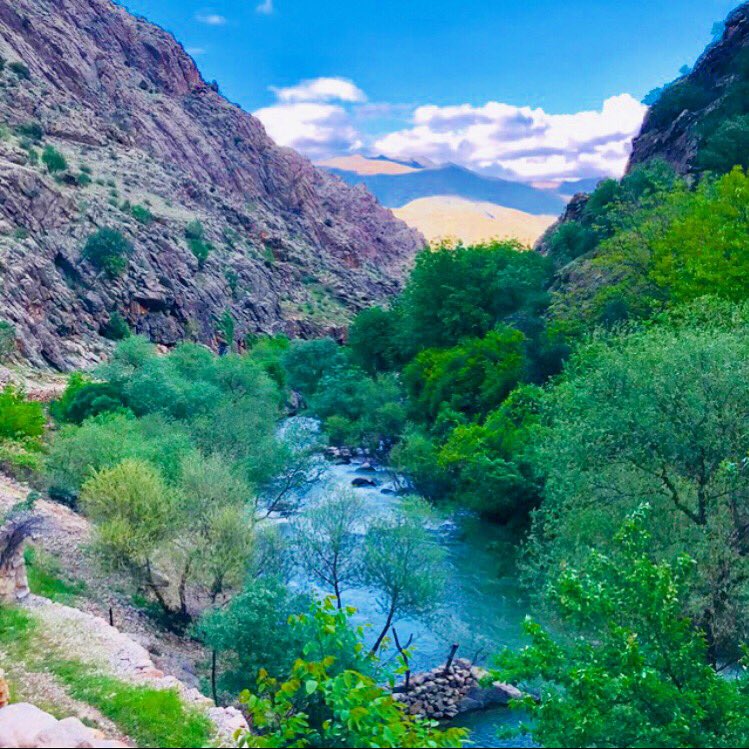 alienfeet88's tweet photo. The air arround the mountain is a strong healer🔮🔮plants have made up the vast majority of medical treatments🔮🔮even those common plant you see everyday could be beneficial 🔮🔮
#views #photography #naturelovers #clouds #plants https://t.co/dTIlIVhPGV