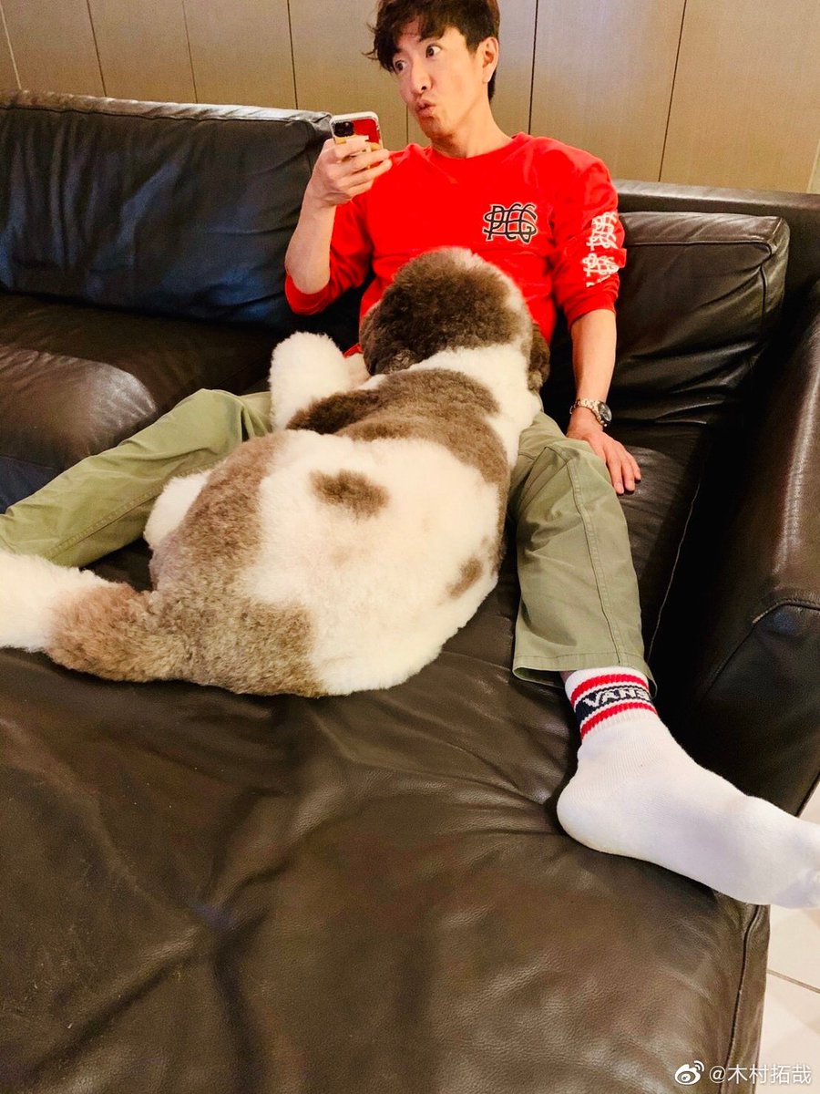 恍惚的猫 C C 今天也是紧贴着 Stay Home Tak 木村拓哉