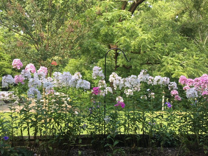 It's a cheery day at Camp Discovery! 🌸
We're honored to be selected for a matching grant from the Cheerful Gives for #MidlandsGives, powered by <a href="/CCCFtweets/">Central Carolina Community Foundation</a>. Please consider a meaningful gift to help kids get back to nature. Thank you for your support!  

campdiscoverysc.org/so/e6N7BvG7z?c…