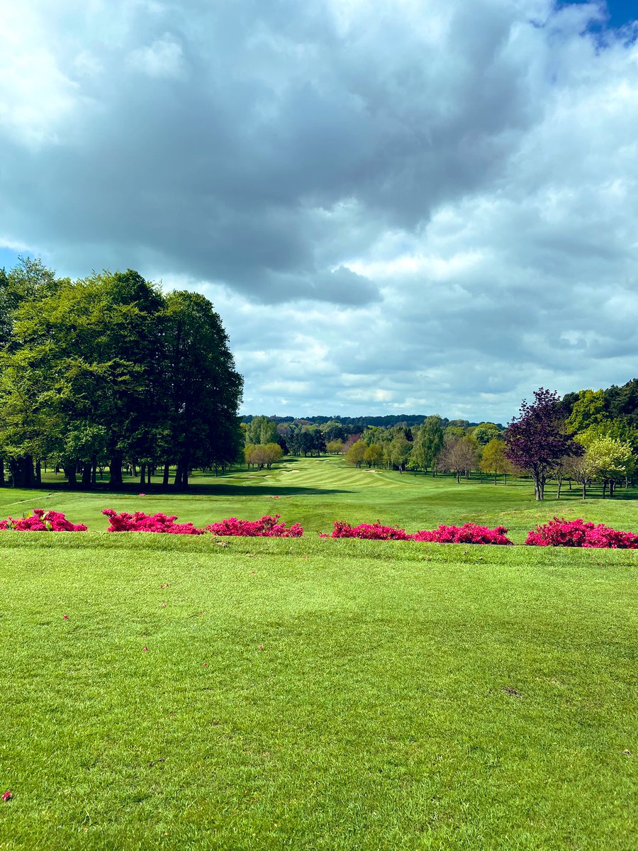 ianwalley's tweet photo. So today should have been our first major of the season @Kedleston_Park Unfortunately things were a lot quieter than normal but the course looking in great shape! Canโt wait for our return! โณ๏ธ๐ช๐ค#firsthole #tenthhole #springcup https://t.co/eBtWodo5Mp