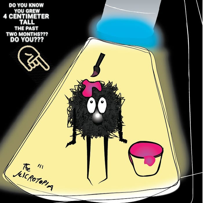 themicrotopia's tweet photo. Post #COVID19 #hairstyle problems 🙄 under the 🔬
#Corona Stories 😎 https://t.co/UsmNLSjDmP