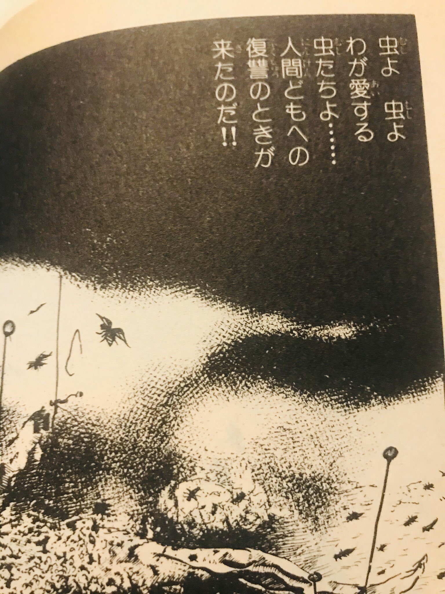 地下室の虫地獄 Twitter Search Twitter