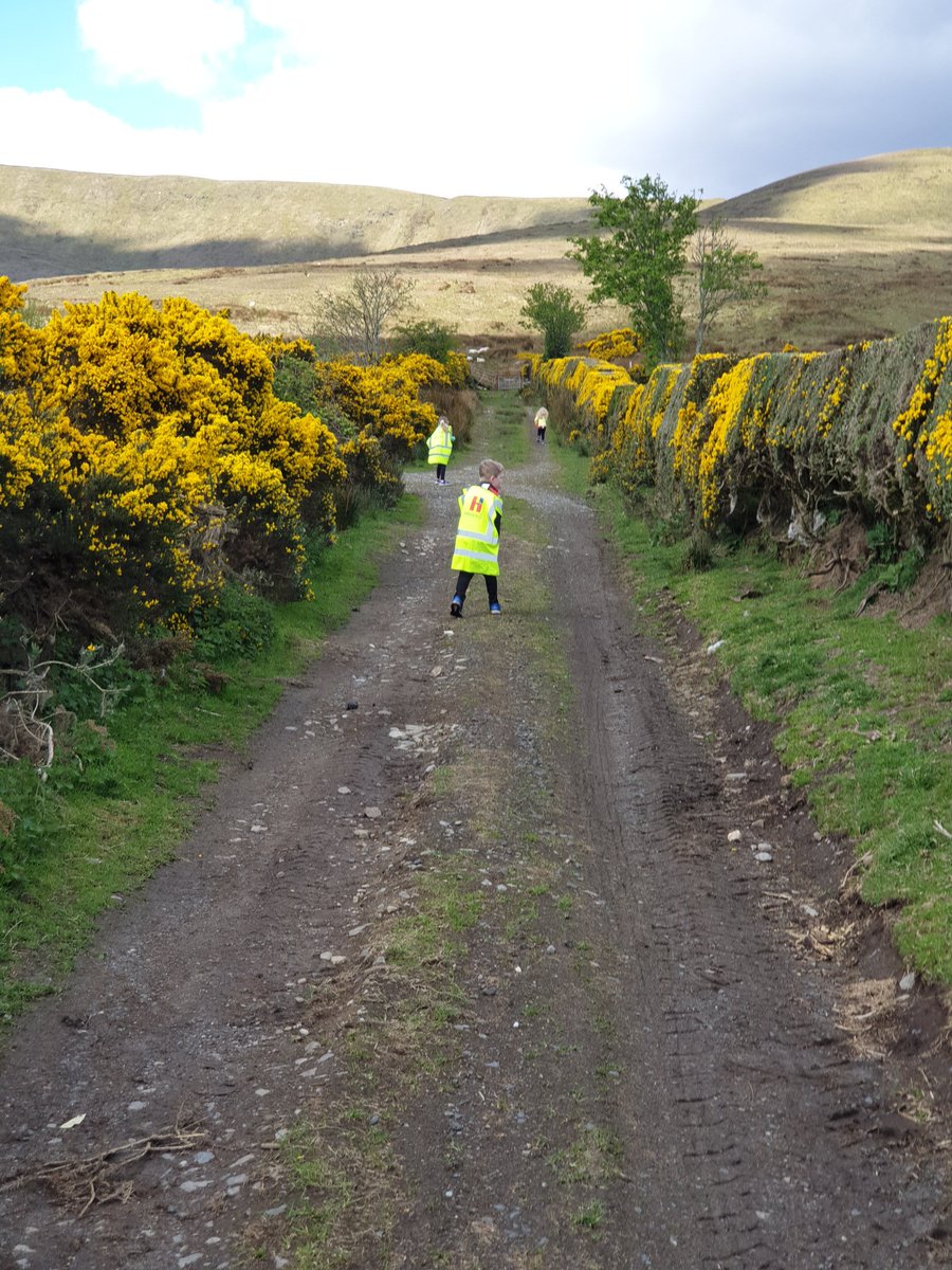 neilbrads's tweet photo. Great morning collecting litter on Ranaghan Road in Moneyneena, walked all the way up to the mountain, as part of the Big Screen Clean with An Ráth Dubh &amp; @ScreenGAA. @HeronBros hi-vis came in handy too! https://t.co/avxs1RRaIQ