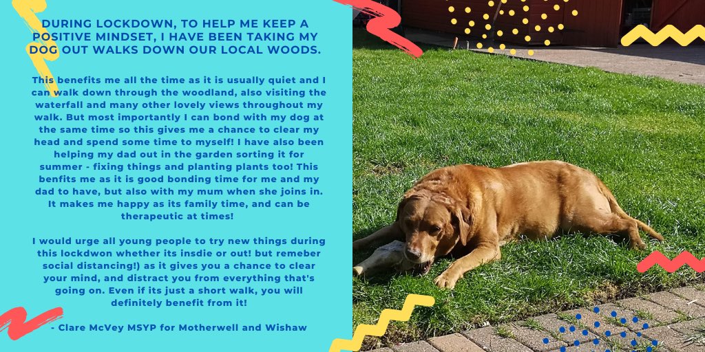 Sports and Leisure Committee SYP tweet media