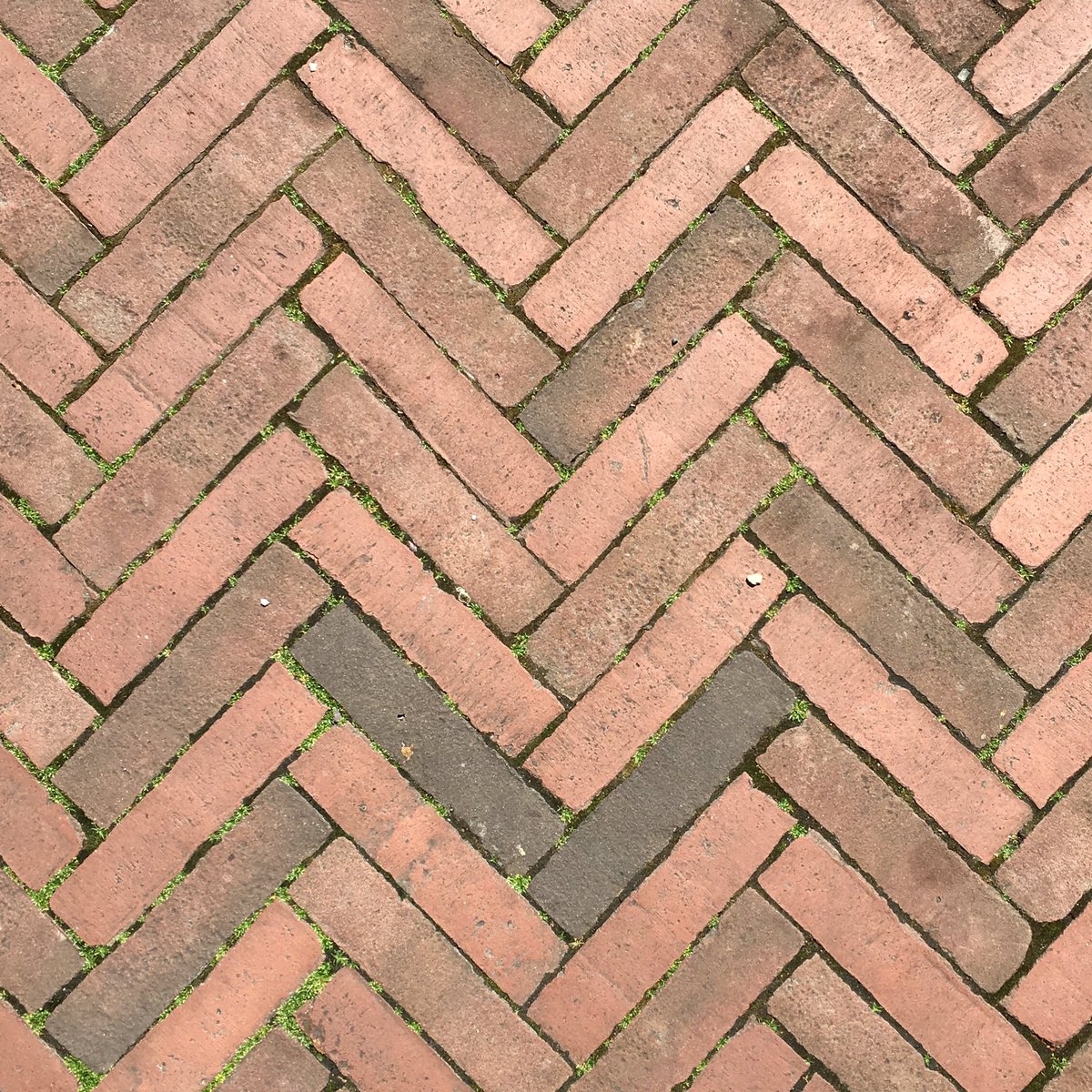 maria_mant tweet media