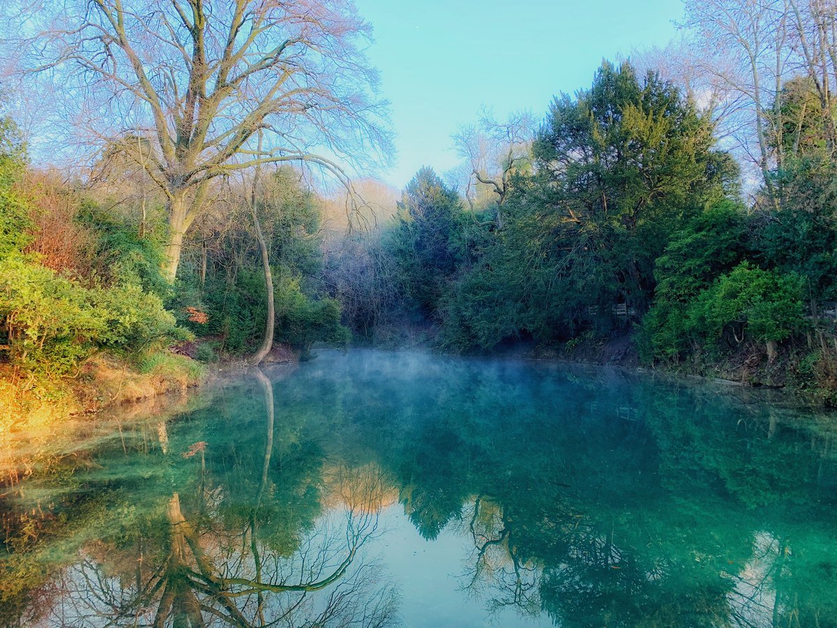To celebrate #Surreyday - here’s the ancient and beautiful Silent Pool, which sits next to our distillery in Albury and gives us our name.