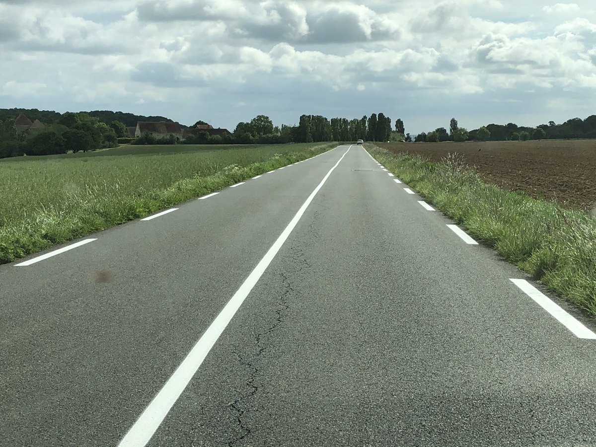 BotTrubuil tweet media