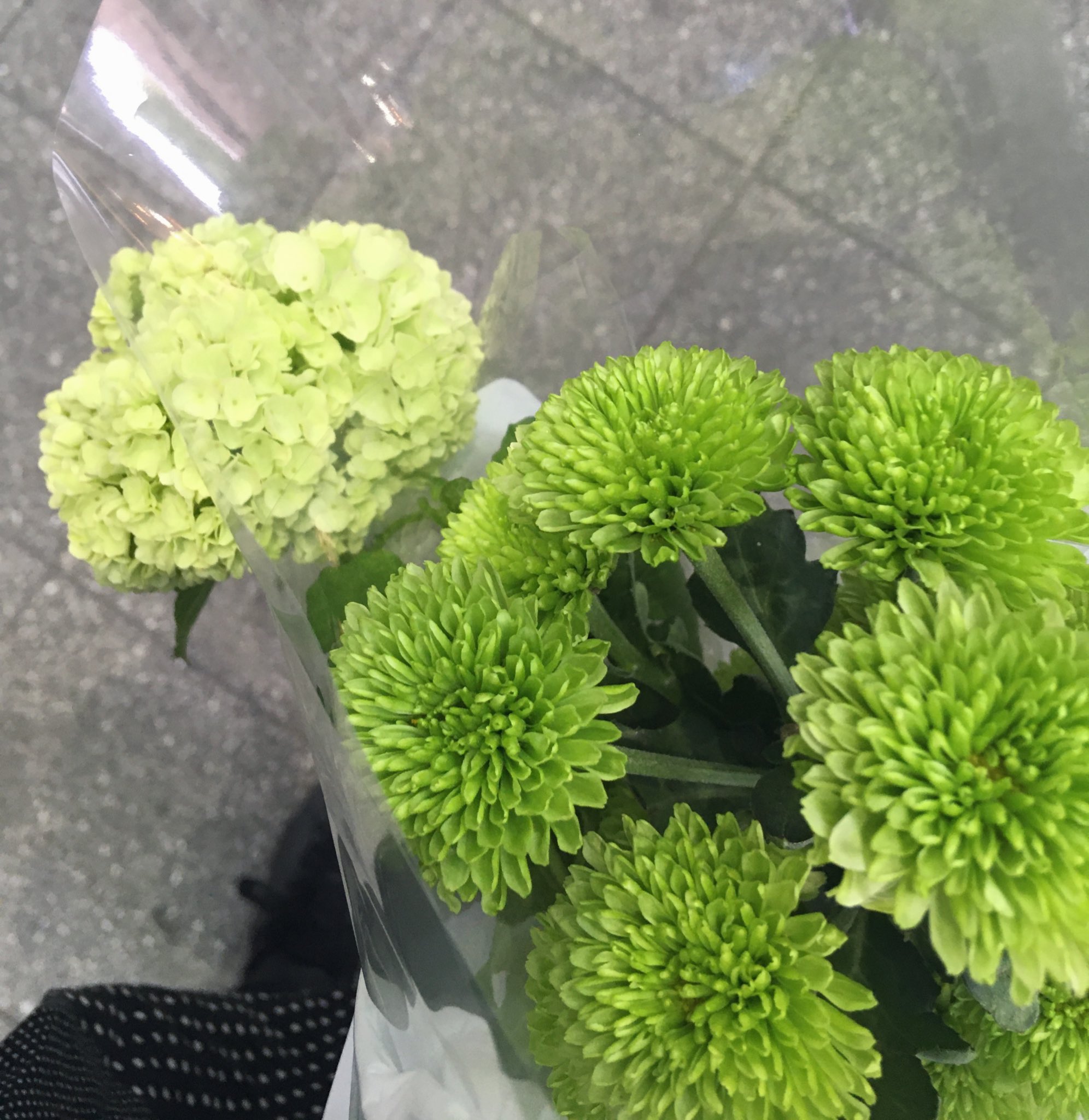 モティルピエット お出かけリタの市11 13 喫茶you Me 暑さが少しましな時間帯になったのでお花屋さんへ 今日は スノーボールとスプレー菊にしてみました 昭和玄関に飾ります スノーボール花言葉 茶目っ気 誓い スプレー菊花言葉 高貴 高尚 高潔