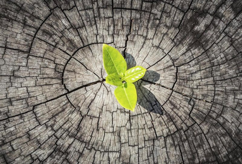 TrendiumTopia's tweet photo. ¿Qué es la resiliencia?

La resiliencia es la capacidad de los seres humanos para adaptarse positivamente a las situaciones adversas.

#AprendiendoAlgoNuevo https://t.co/q2cWP2jEyH