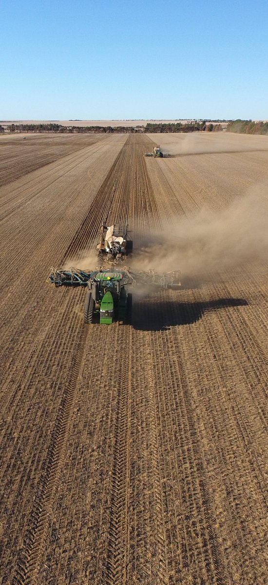 Dust &amp; more bloody dust, hopefully rain soon