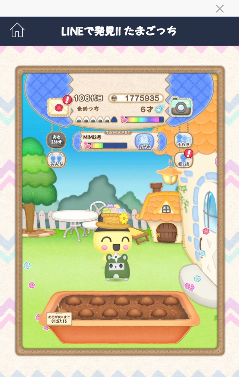 A Chan 今度は忍者犬かーーーい たまごっち フォトたま Lineで発見たまごっち Tamagotchi