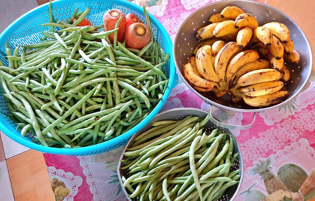 mamacy971's tweet photo. Another healthy meal delivery tomorrow para sa mga patuloy na nagbibigay ng #SerbisyongTotoo 🥰 
#MamaCy971 
#ForeverAnakNgAma 
#AngTunayMongForever 
#TheFeastQCDFT 
#AngPalabanNaBeauty 
#BarangayLS971
#CovidStory https://t.co/WganZrQ7kN