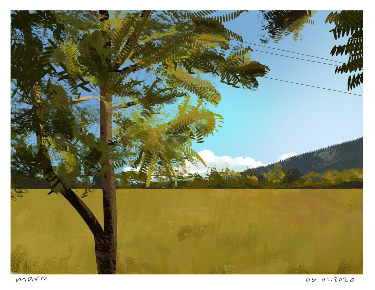 marcm_art's tweet image. yesterday&apos;s study. i was frustrated with trees so i drew another tree. 

i have come to the conclusion i cant draw trees so i will now be moving on-