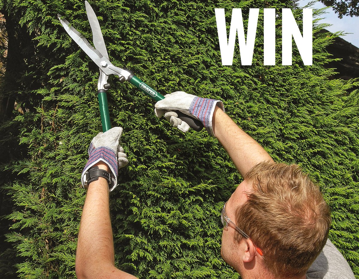 drapertools's tweet photo. To celebrate #NationalGardeningWeek we’re giving away a 3 Piece Draper Lopper, Shears And Secateur Set. For a chance to #win simply follow us, like &amp; retweet!

Good luck!

Competition closes 10AM, Monday 4th May. Full details here: https://t.co/tVw5MTMnZ8 https://t.co/Y7bHiqMhV4