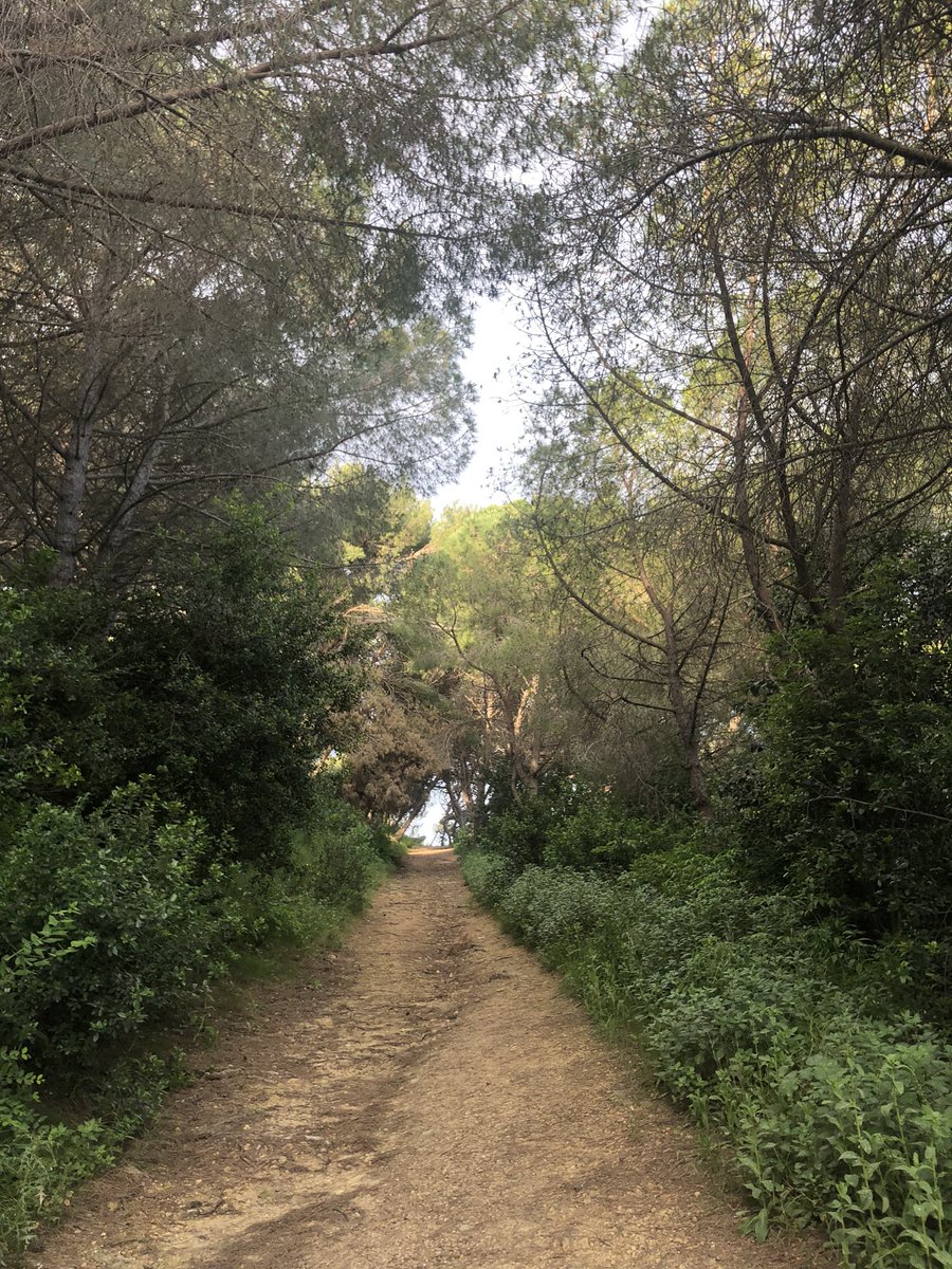 sobadsister's tweet photo. Dia 51: avui hem sortit a fer esport per primer cop i ha set súper molón!!! Ojala tots els dies així 💘 https://t.co/7QzsIFS6dB