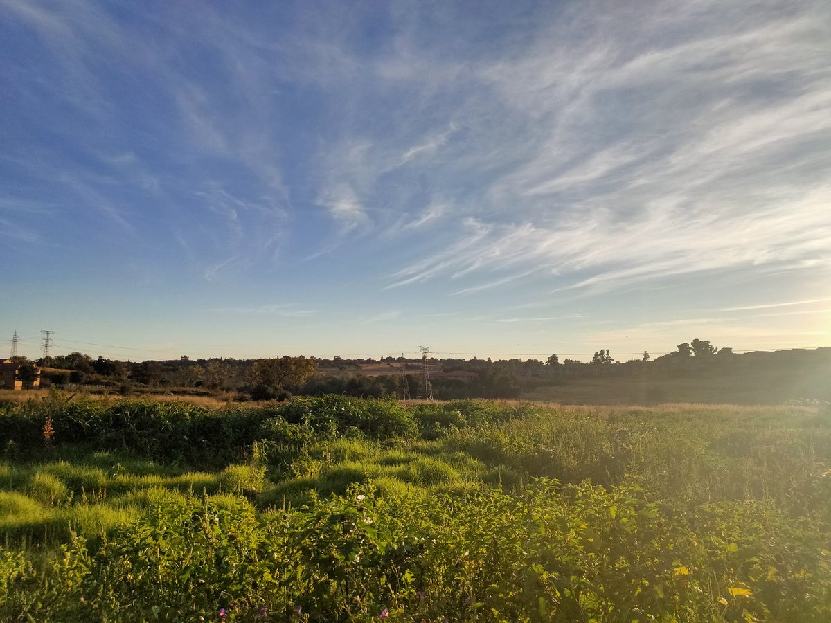 achavanga's tweet image. #SocialDistanceRun on such a beautiful day ❣️. #StayAtHome #stayhealthy 🙏