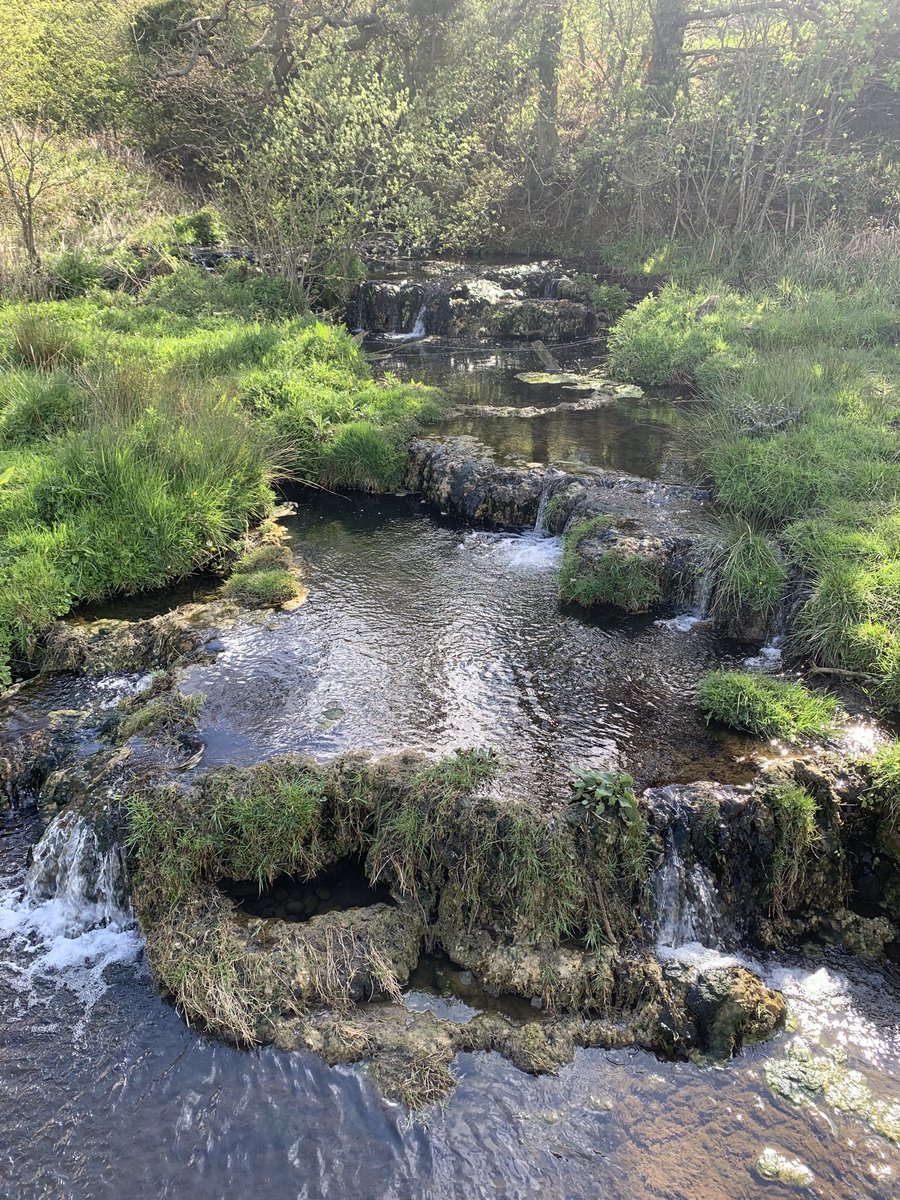 DockingTim's tweet photo. Stuff like this is an important part of my reset....beautiful Northumberland#resetstaysafe https://t.co/Fmu5Y8Qt5O
