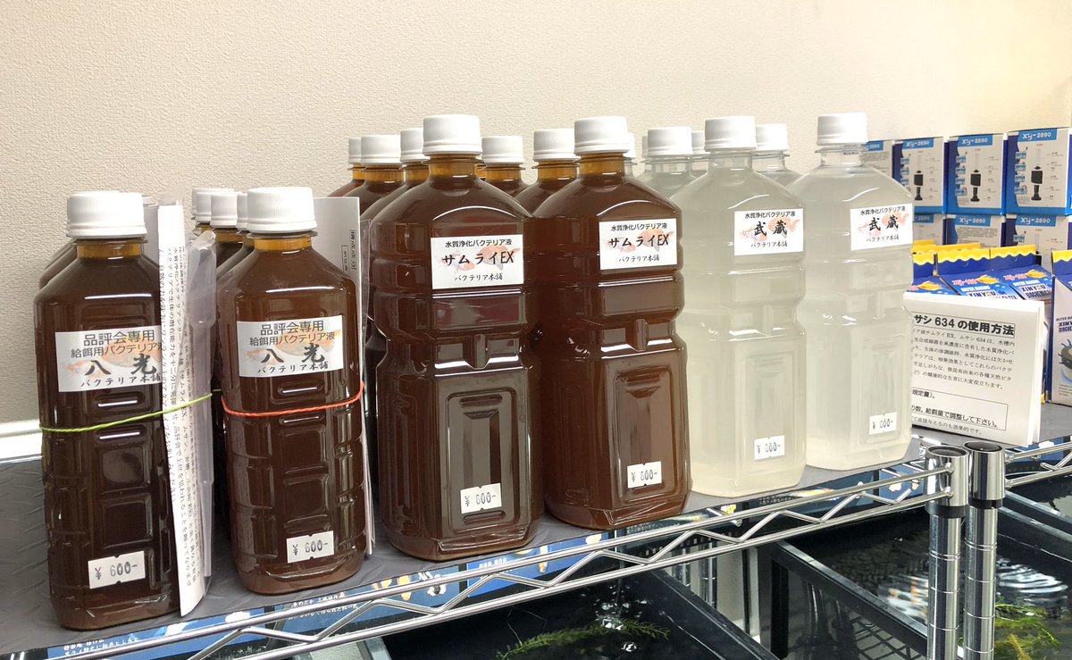 桜めだか 神戸のメダカ専門店 最強の水質改善バクテリア サムライex に加え 武蔵 ムサシ をお客様のご要望で直売所のラインナップで取り扱い始めました 1リットル 800となります 餌を浸して給餌して使う 八光 も常連様のリピートが増えた感じ