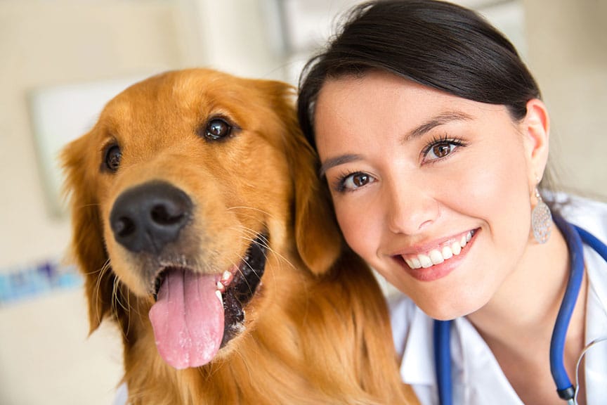 shellkryan's tweet photo. So happy that our paper, led by Chris Begeny, has been accepted to @ScienceAdvances. Conducted in collaboration with @BritishVets, the paper looks at the persistence of gender inequality in the vet profession, even when women are the majority of students. More details soon! https://t.co/7Z0R0sEr8D